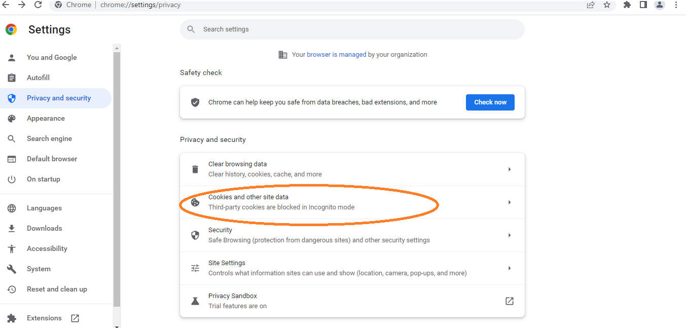 browser setting browser setting